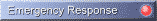 Emergency Response Software Development